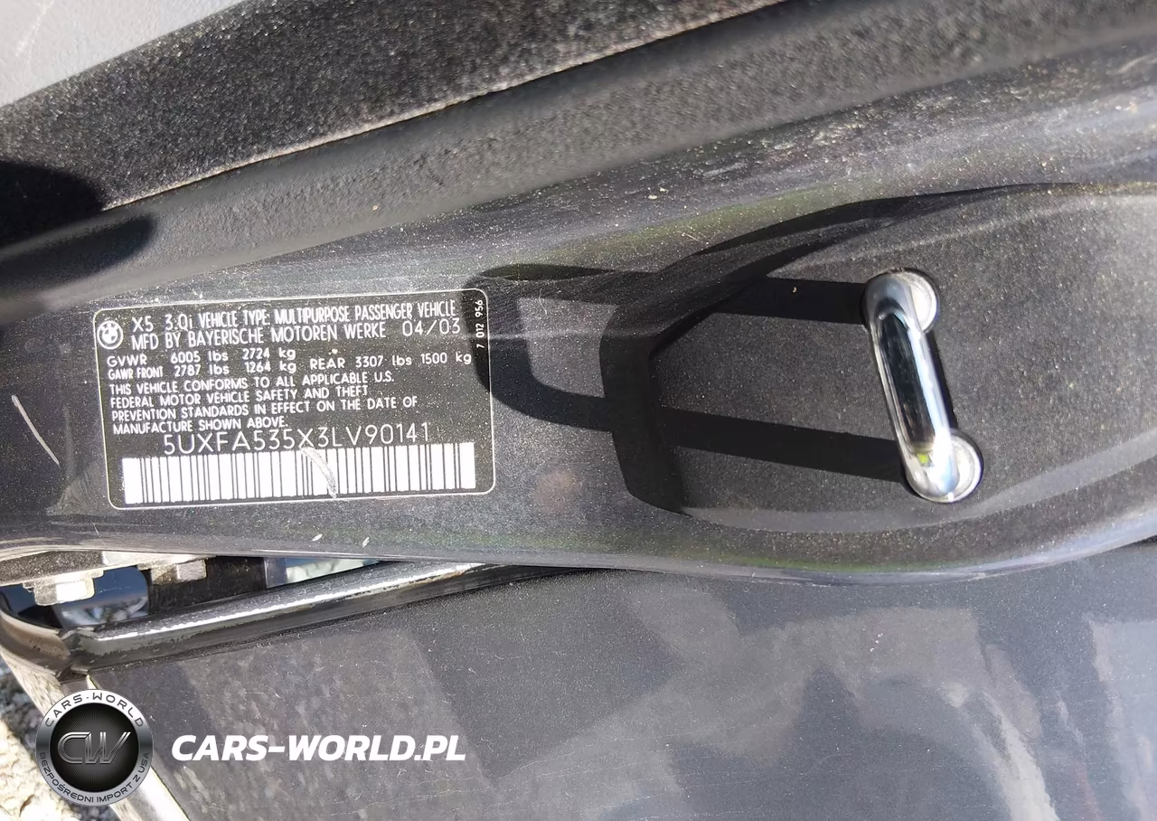 2003 BMW X5 3.0I VIN:5UXFA535X3LV90141 - 9
