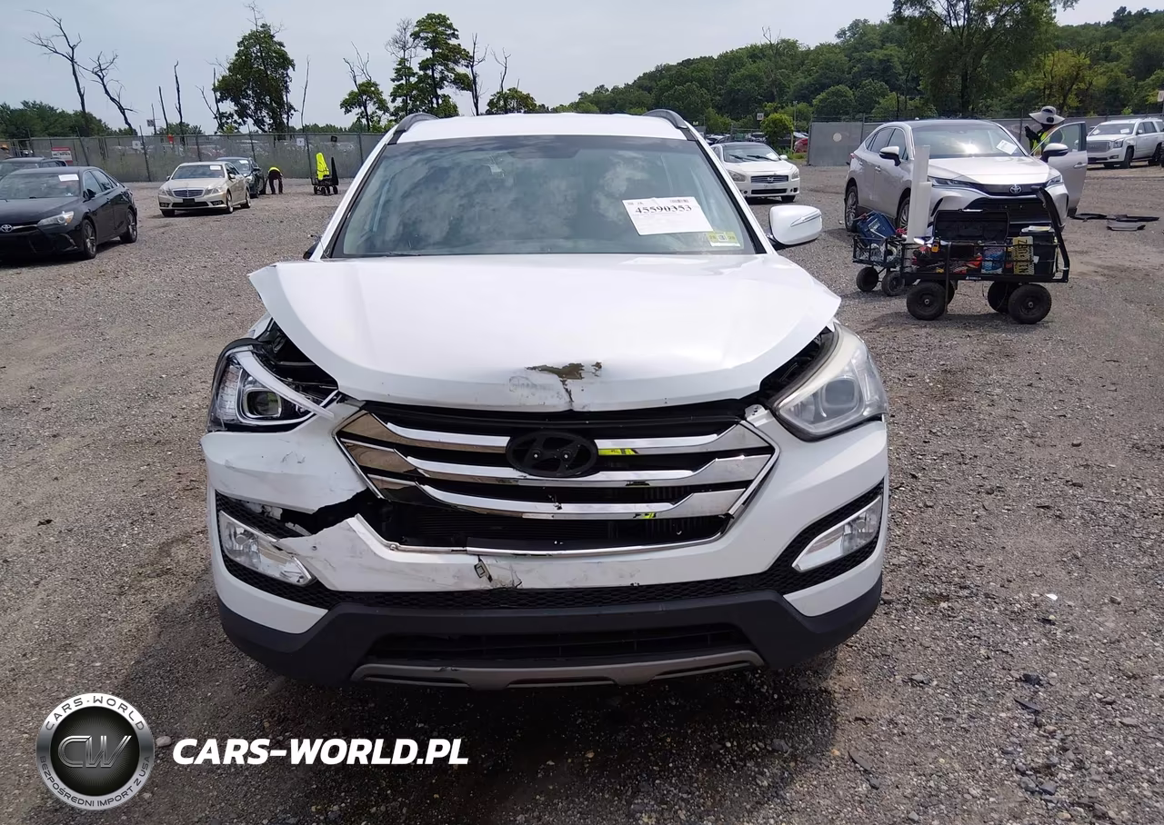 2014 Hyundai Santa Fe Sport 2.0L Turbo VIN:5XYZUDLAXEG216060 - 12