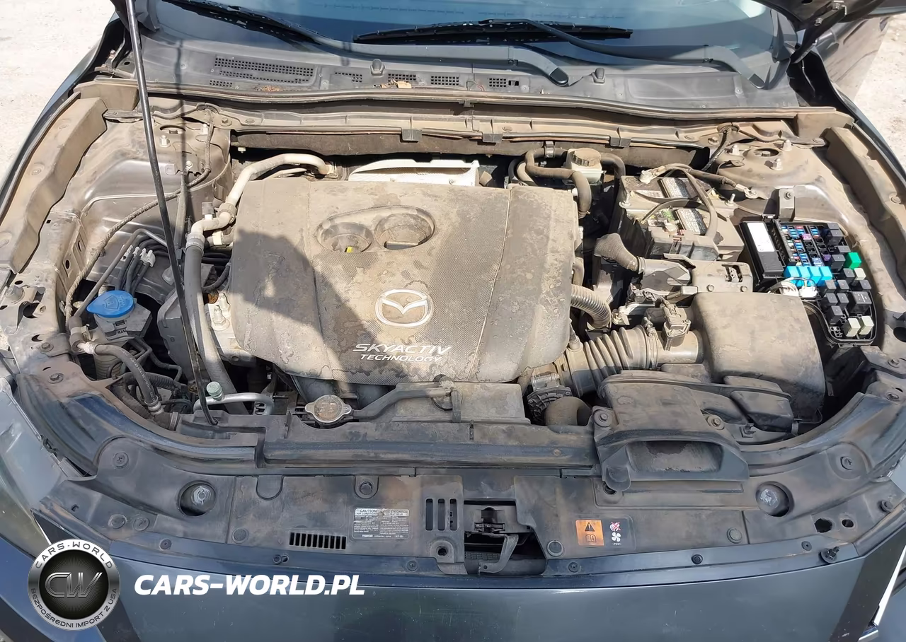 2014 Mazda Mazda3 I Sport VIN:JM1BM1U76E1210842 - 10