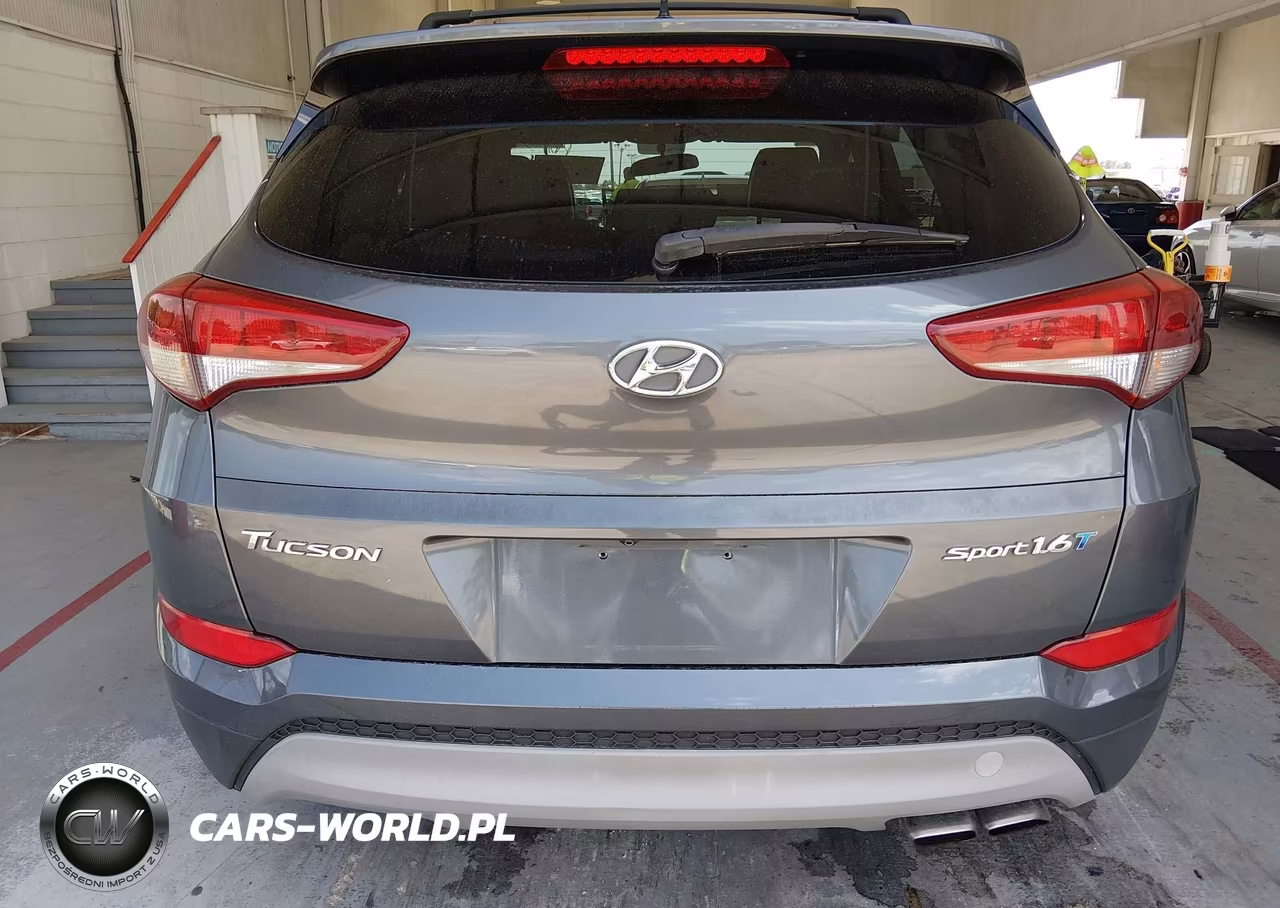 2017 Hyundai Tucson Sport VIN:KM8J33A20HU397139 - 17