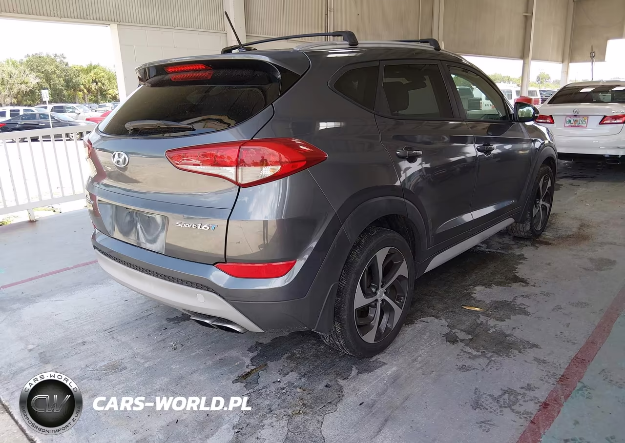 2017 Hyundai Tucson Sport VIN:KM8J33A20HU397139 - 4