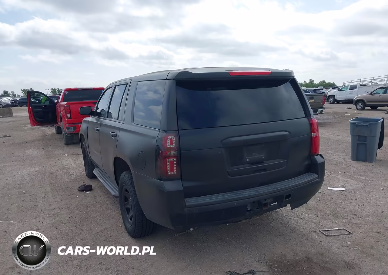 2016 Chevrolet Tahoe Commercial VIN:1GNLCDEC3GR304175 - 3