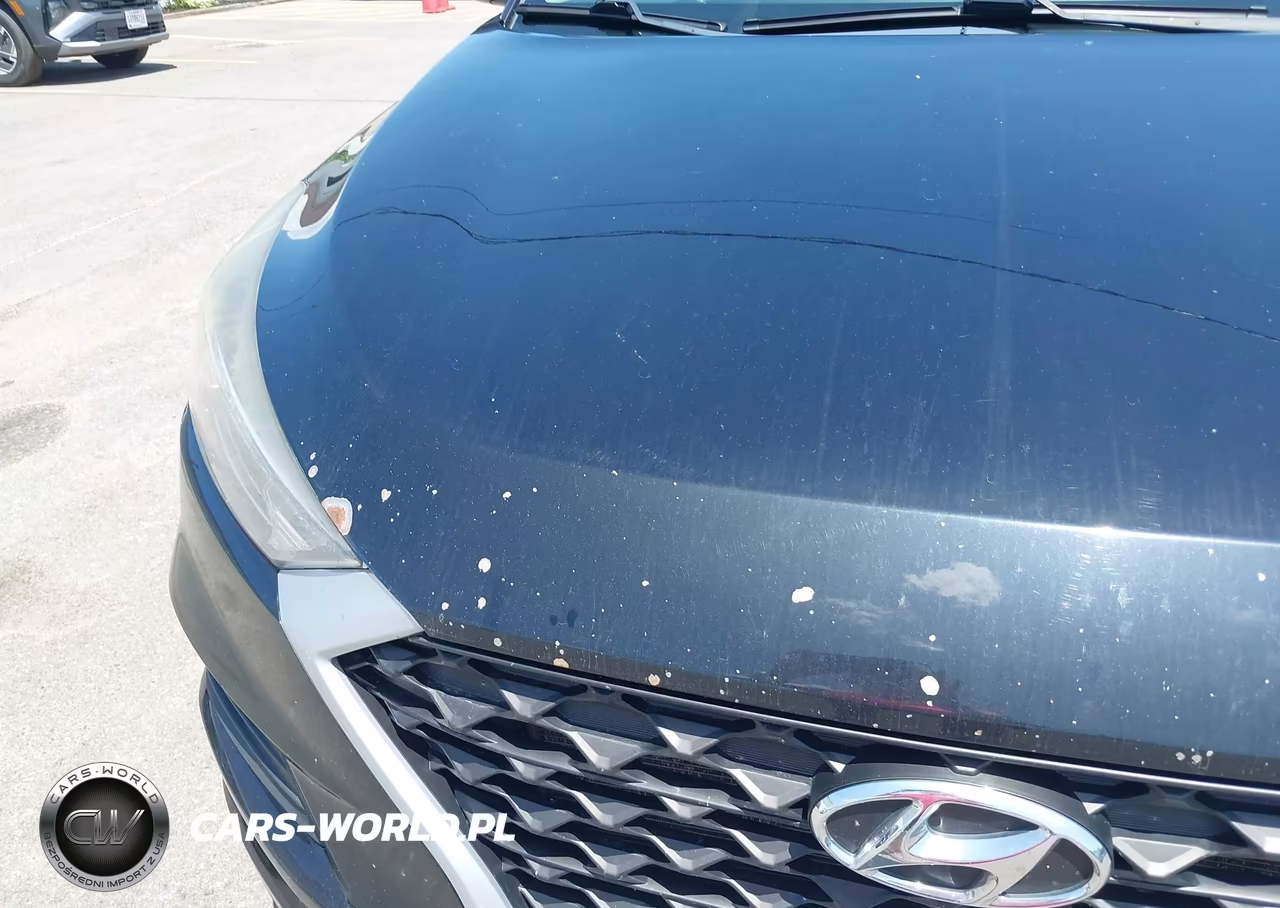 2019 Hyundai Tucson Se VIN:KM8J2CA45KU002383 - 12
