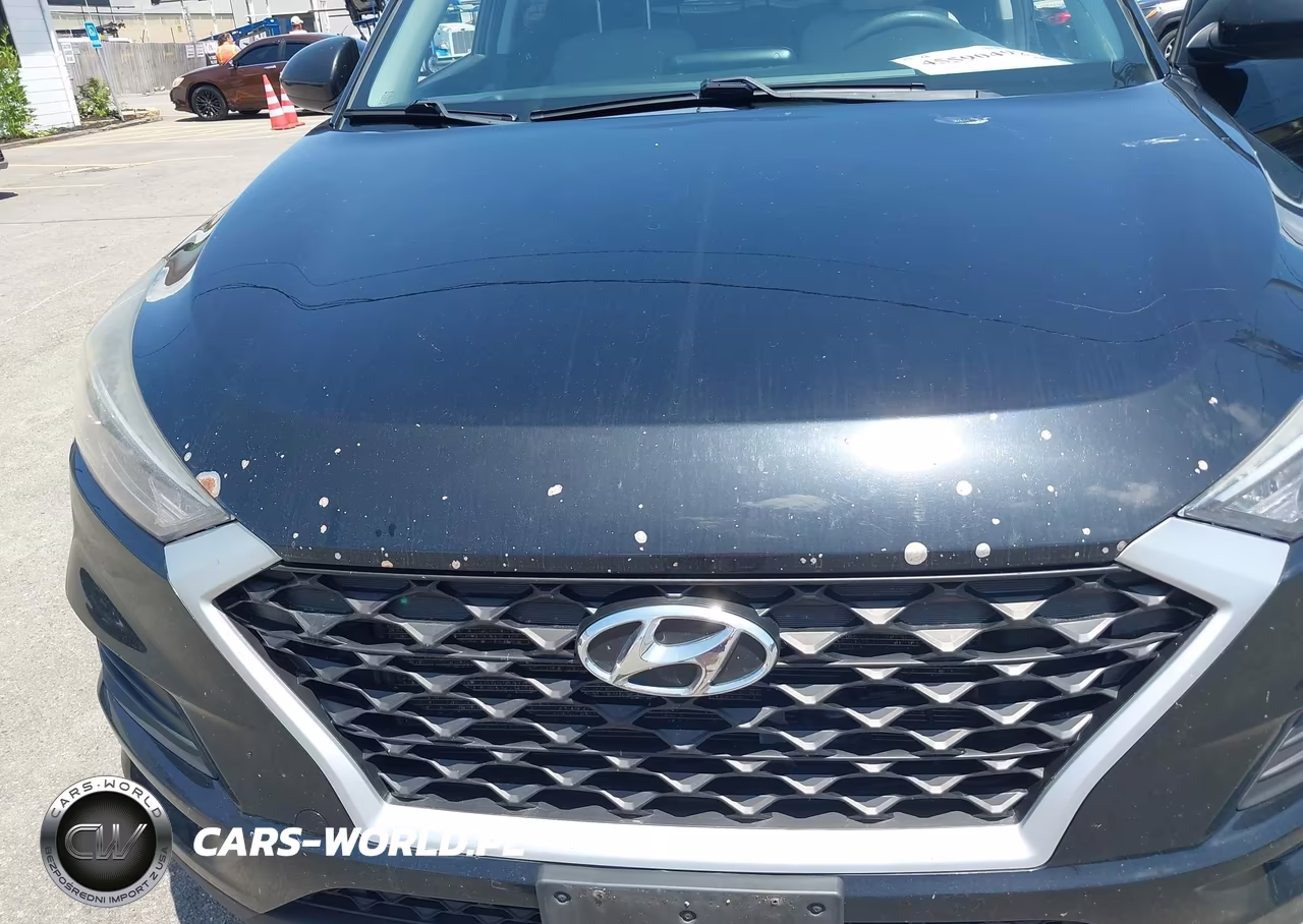 2019 Hyundai Tucson Se VIN:KM8J2CA45KU002383 - 13