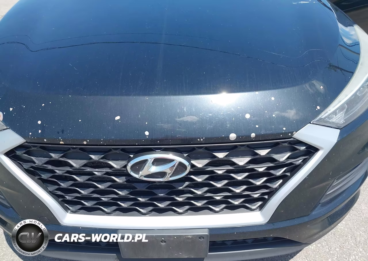 2019 Hyundai Tucson Se VIN:KM8J2CA45KU002383 - 6