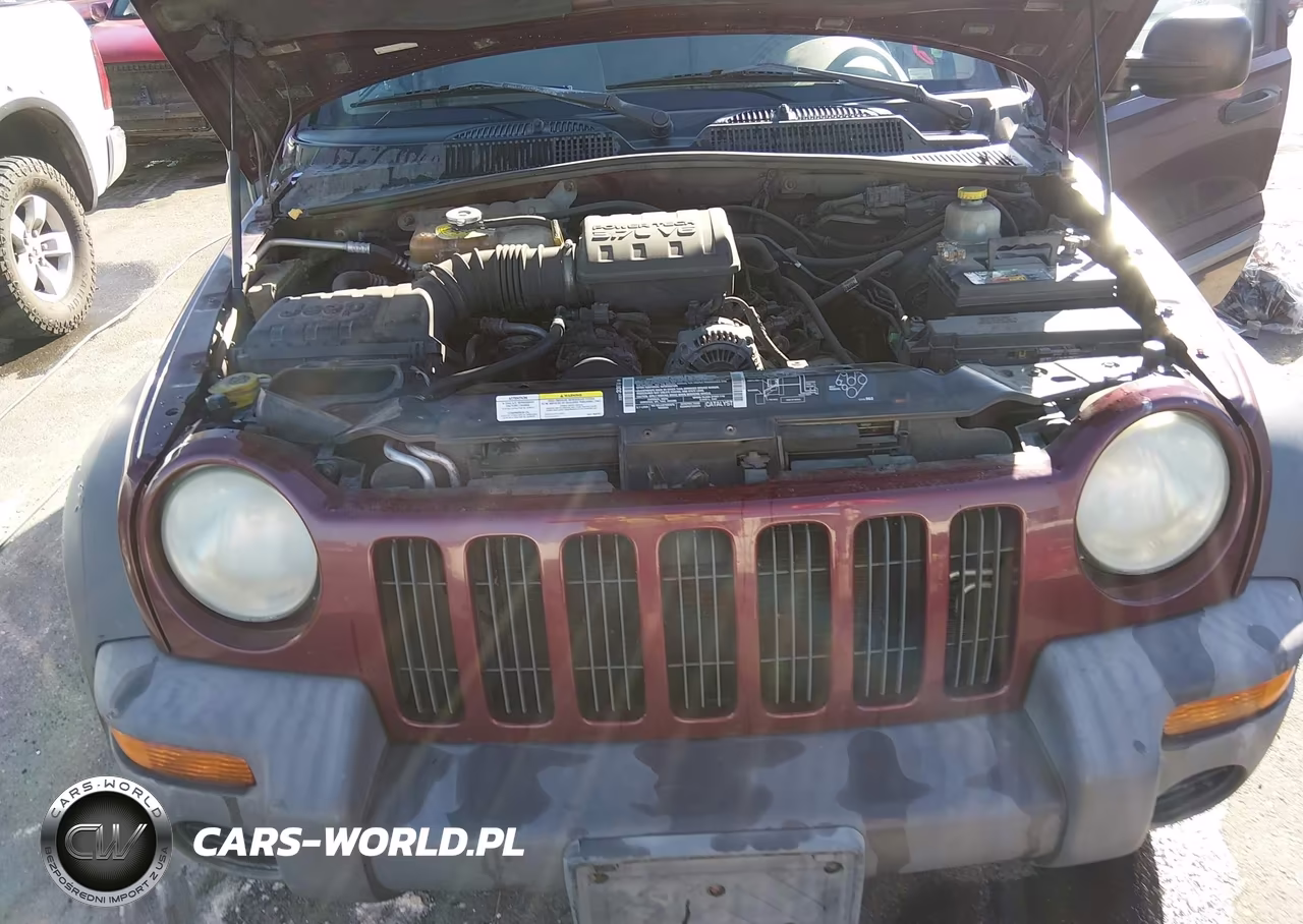 2002 Jeep Liberty Sport VIN:1J4GL48K12W276572 - 10