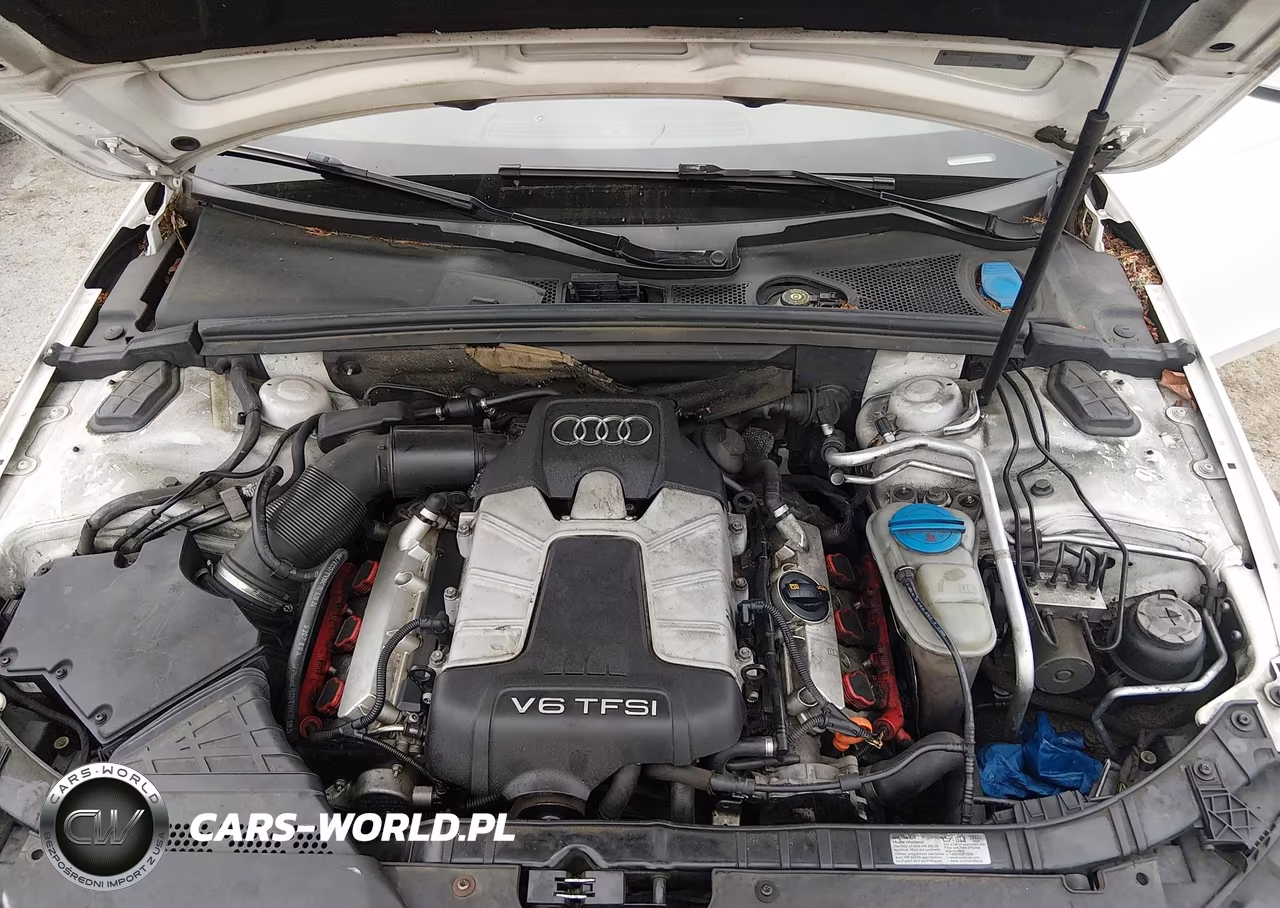2010 Audi S4 3.0 Premium Plus VIN:WAUBGAFL4AA038125 - 10