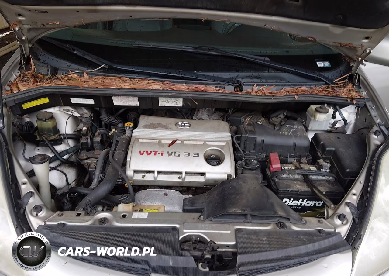 2006 Toyota Sienna Xle VIN:5TDBA22CX6S063475 - 10