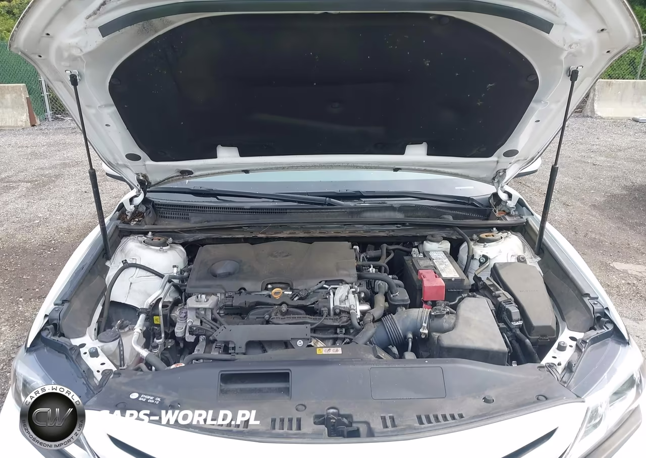 2020 Toyota Camry Se VIN:4T1G11AK5LU885998 - 10