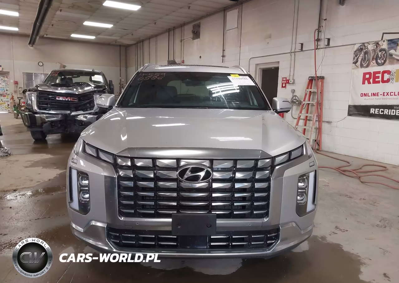 2025 Hyundai Palisade Calligraphy VIN:KM8R7DGE1SU925079 - 13