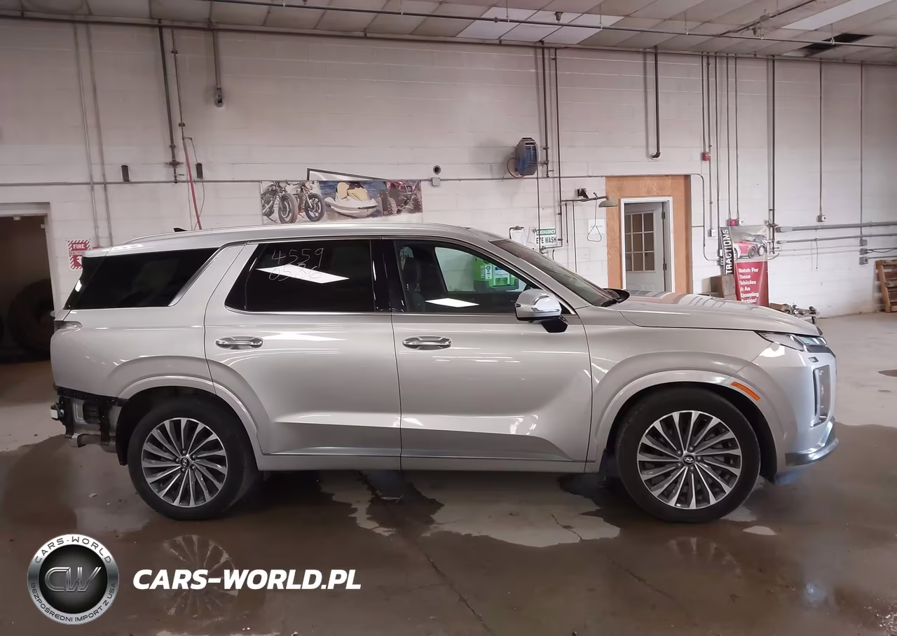 2025 Hyundai Palisade Calligraphy VIN:KM8R7DGE1SU925079 - 14