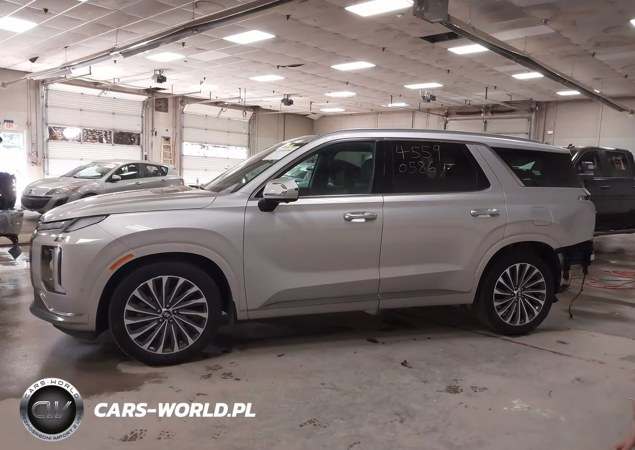 2025 Hyundai Palisade Calligraphy VIN:KM8R7DGE1SU925079 - 15
