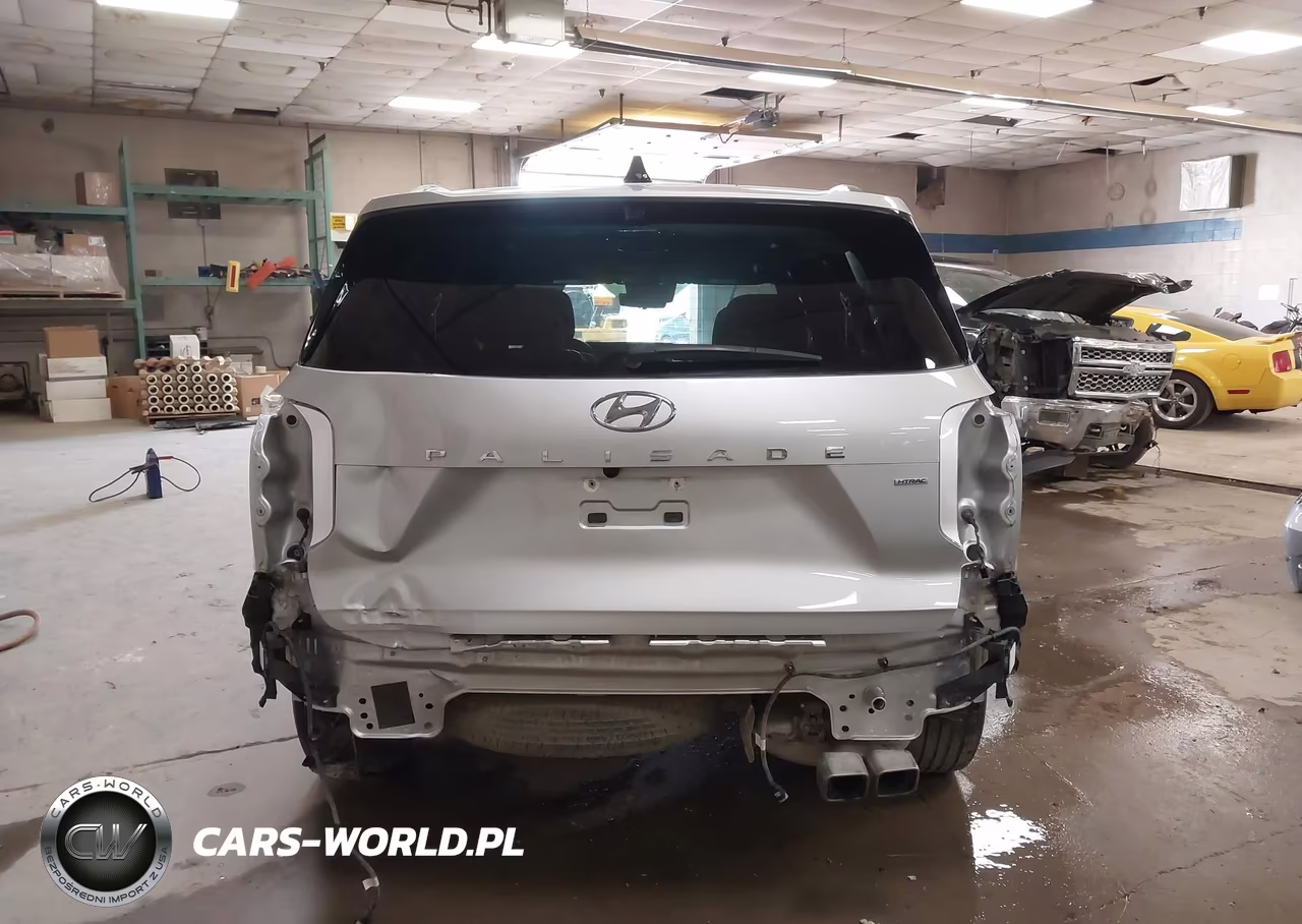 2025 Hyundai Palisade Calligraphy VIN:KM8R7DGE1SU925079 - 17