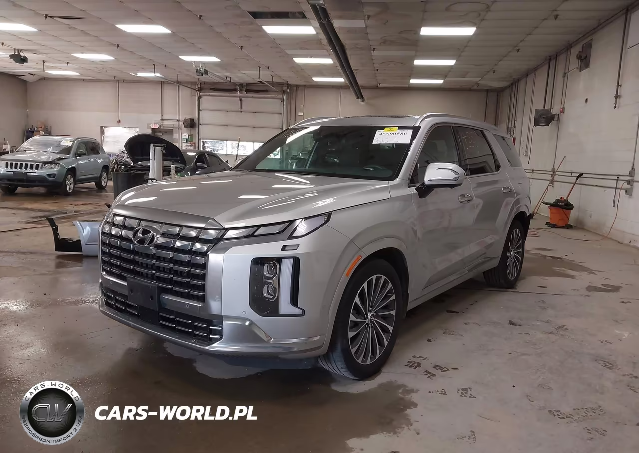 2025 Hyundai Palisade Calligraphy VIN:KM8R7DGE1SU925079 - 2
