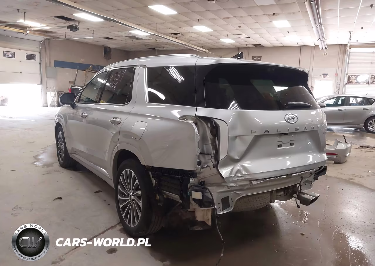 2025 Hyundai Palisade Calligraphy VIN:KM8R7DGE1SU925079 - 3