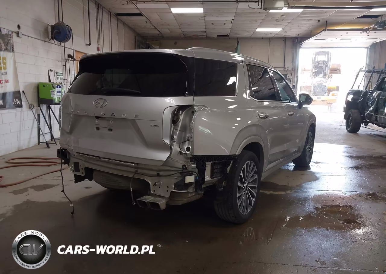 2025 Hyundai Palisade Calligraphy VIN:KM8R7DGE1SU925079 - 4