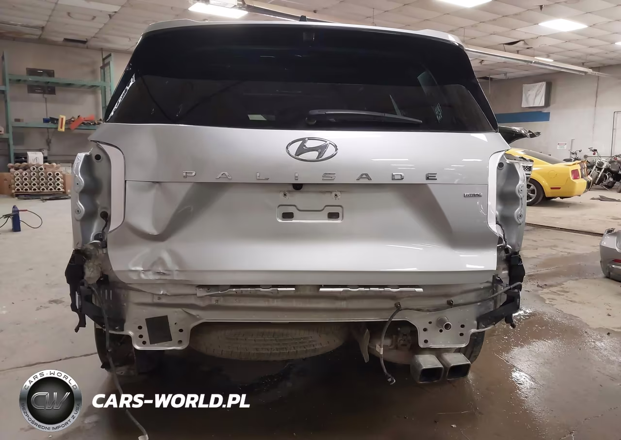 2025 Hyundai Palisade Calligraphy VIN:KM8R7DGE1SU925079 - 6