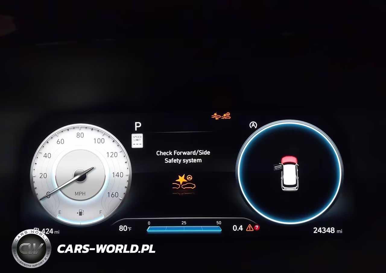 2025 Hyundai Palisade Calligraphy VIN:KM8R7DGE1SU925079 - 7