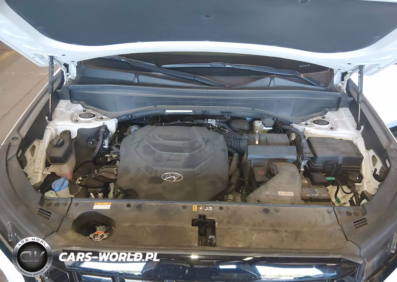 2023 Hyundai Palisade Xrt VIN:KM8R3DGE8PU601999 - 10