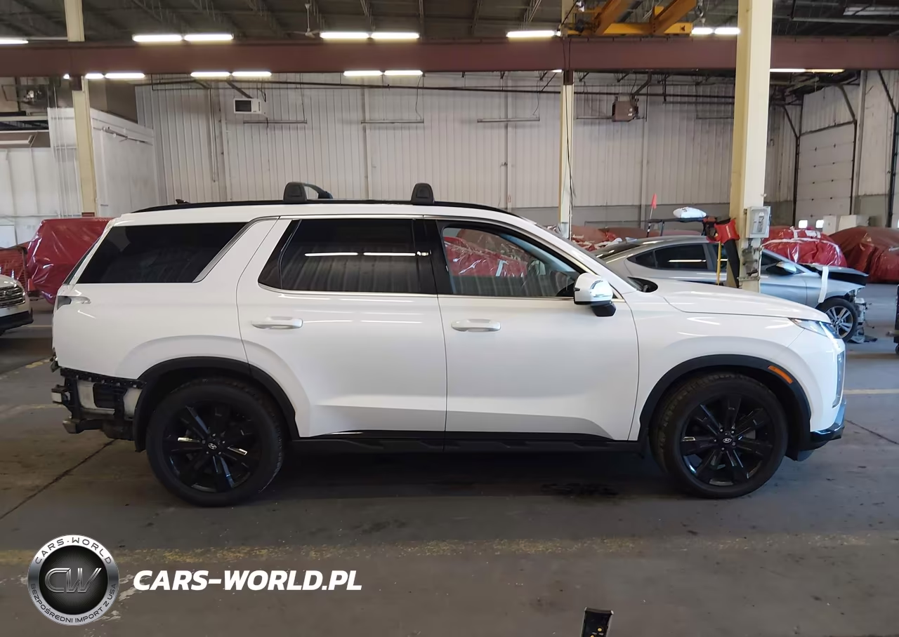 2023 Hyundai Palisade Xrt VIN:KM8R3DGE8PU601999 - 14