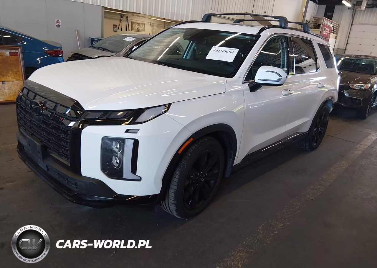 2023 Hyundai Palisade Xrt VIN:KM8R3DGE8PU601999 - 2