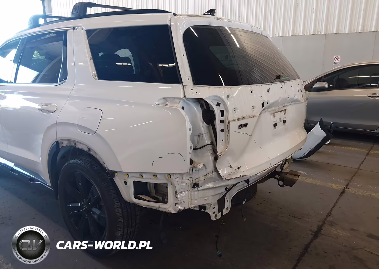 2023 Hyundai Palisade Xrt VIN:KM8R3DGE8PU601999 - 20