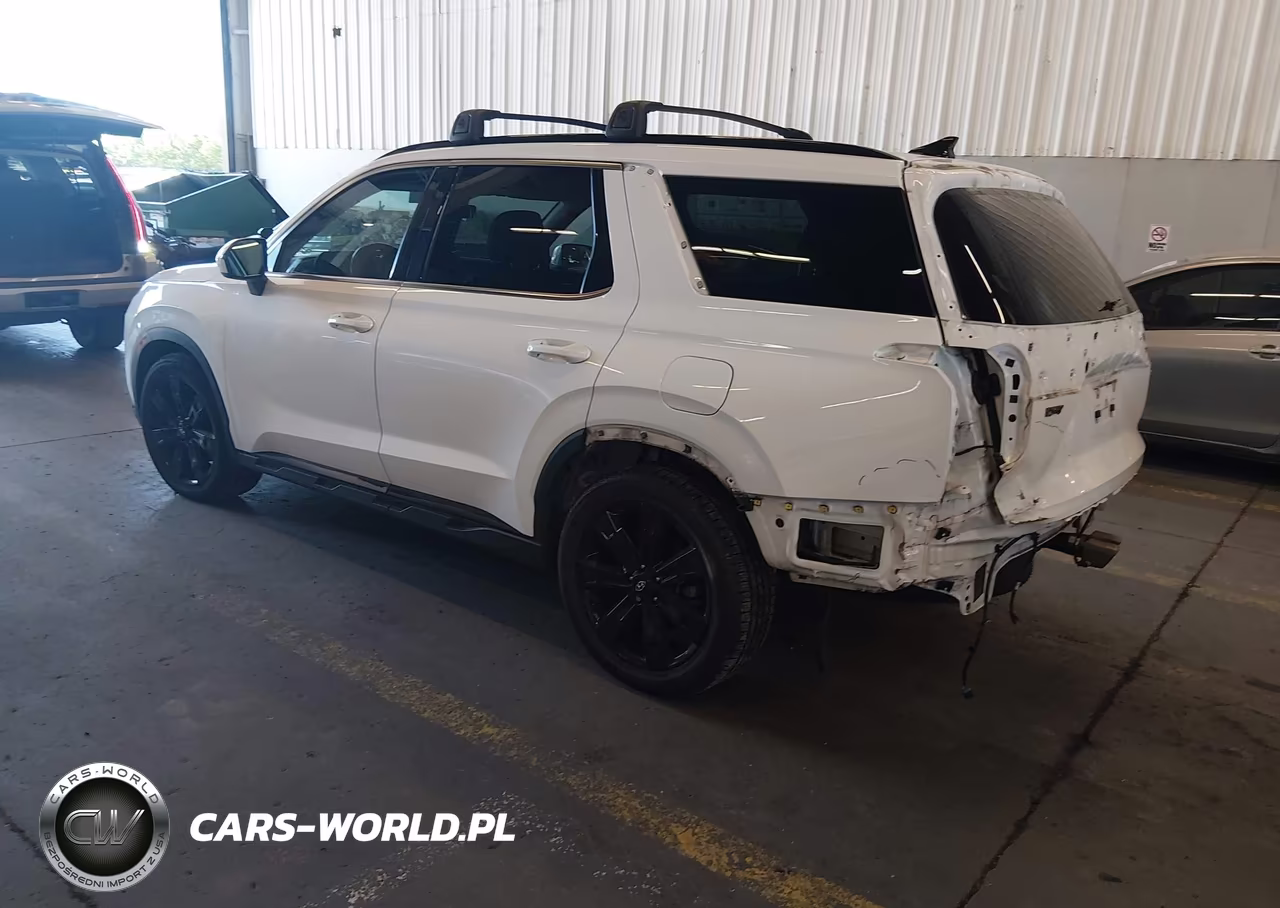 2023 Hyundai Palisade Xrt VIN:KM8R3DGE8PU601999 - 3