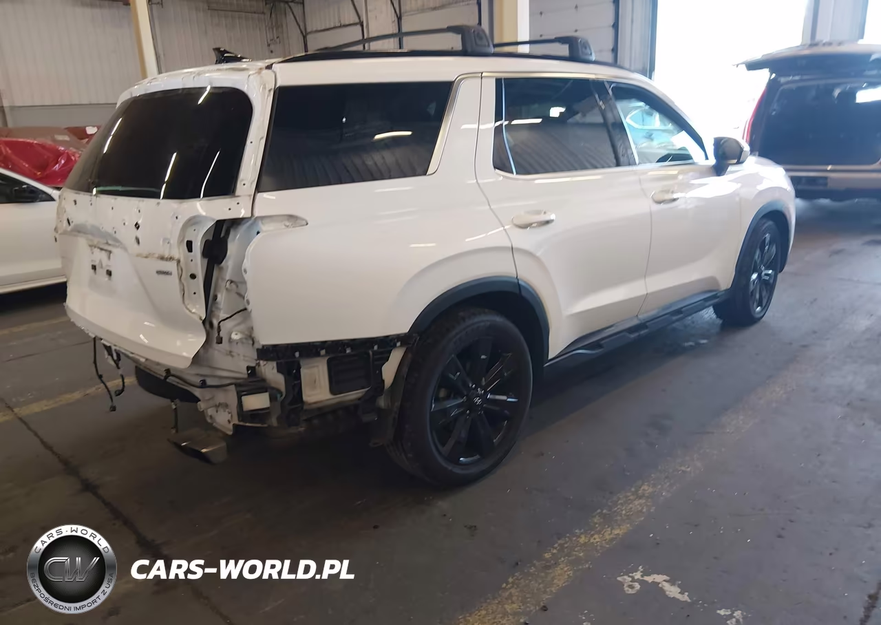 2023 Hyundai Palisade Xrt VIN:KM8R3DGE8PU601999 - 4