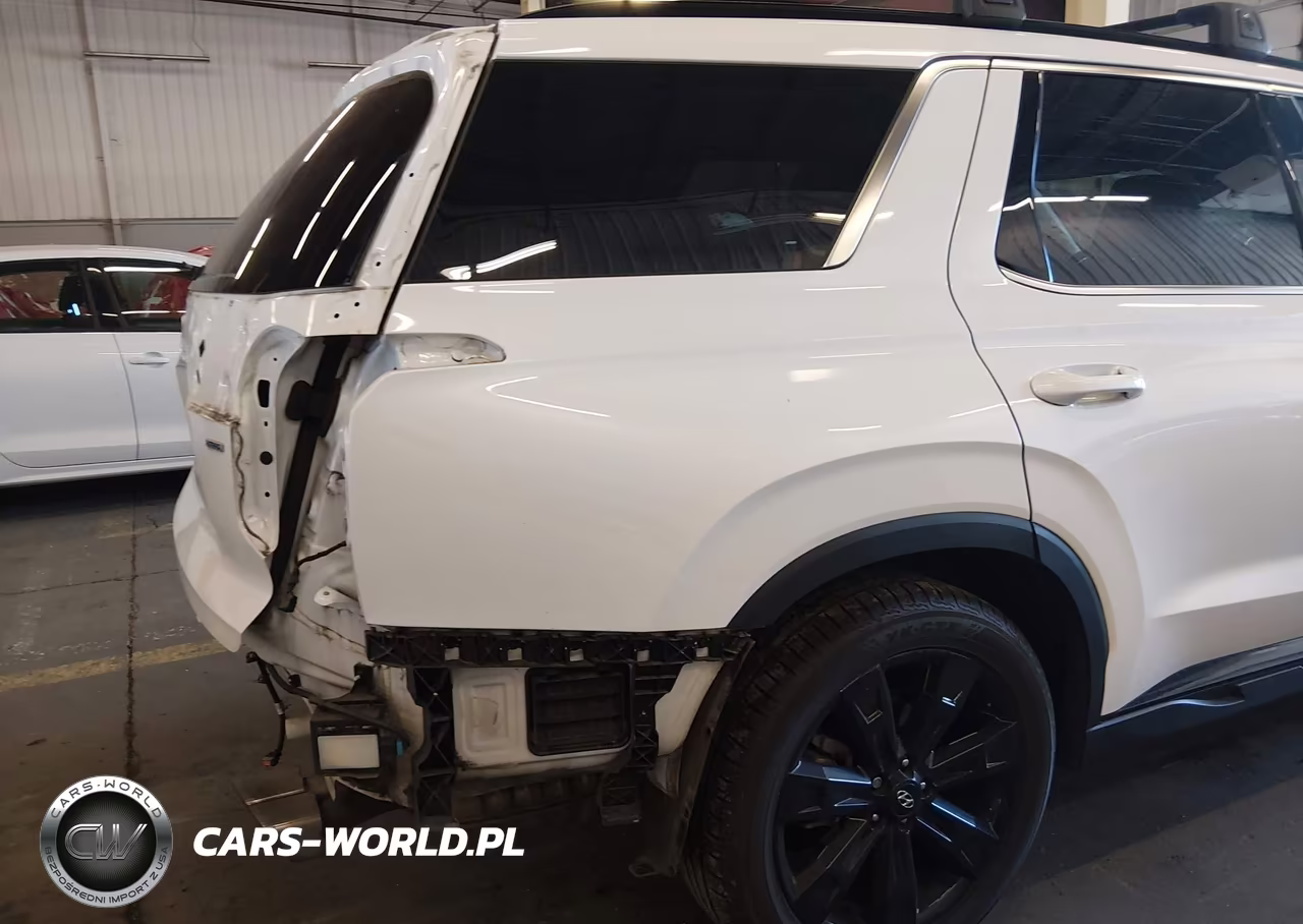 2023 Hyundai Palisade Xrt VIN:KM8R3DGE8PU601999 - 6