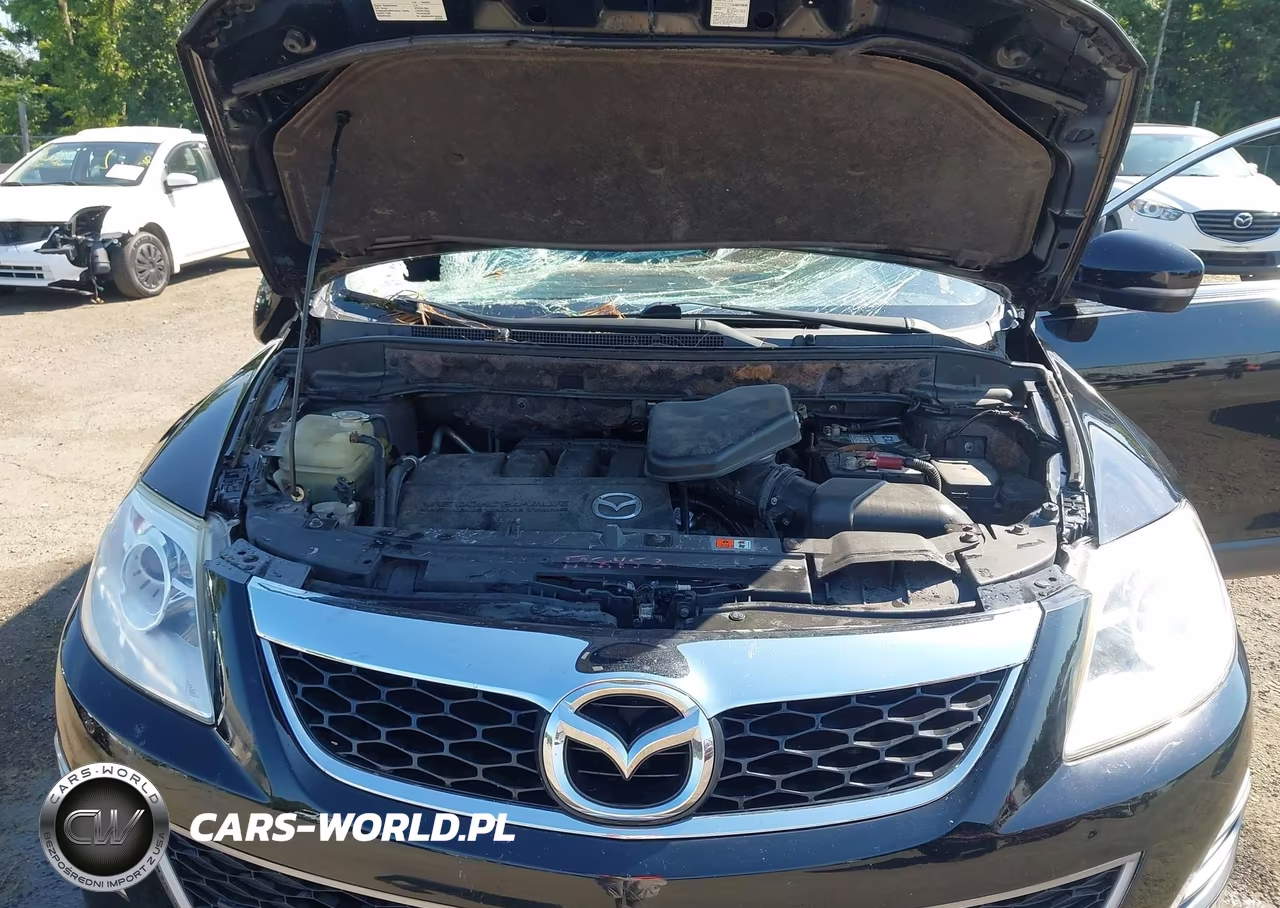 2012 Mazda Cx-9 Grand Touring VIN:JM3TB3DV8C0346761 - 10