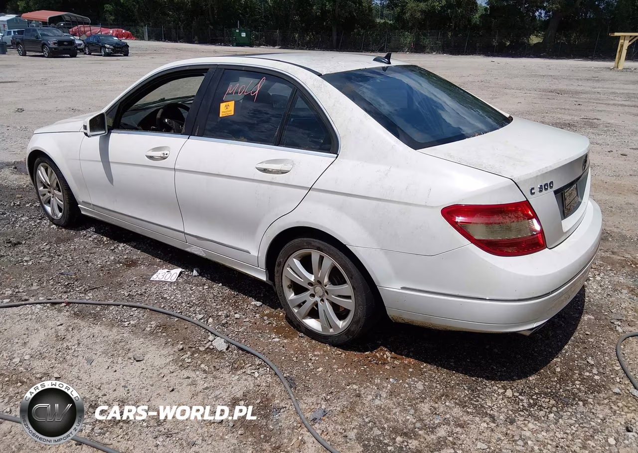 2010 Mercedes-Benz C 300 Luxury 4Matic-Sport 4Matic VIN:WDDGF8BB8AR126152 - 3