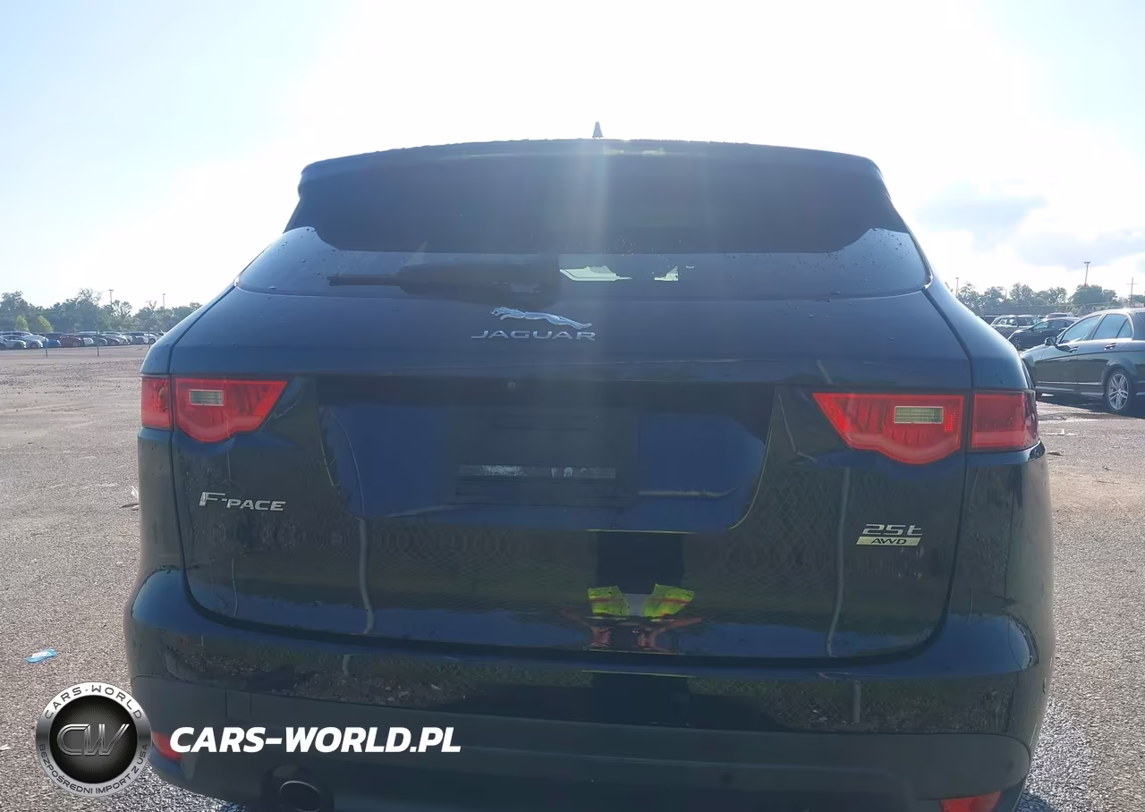 2020 Jaguar F-Pace Premium P250 Awd Automatic VIN:SADCJ2FX9LA656646 - 16