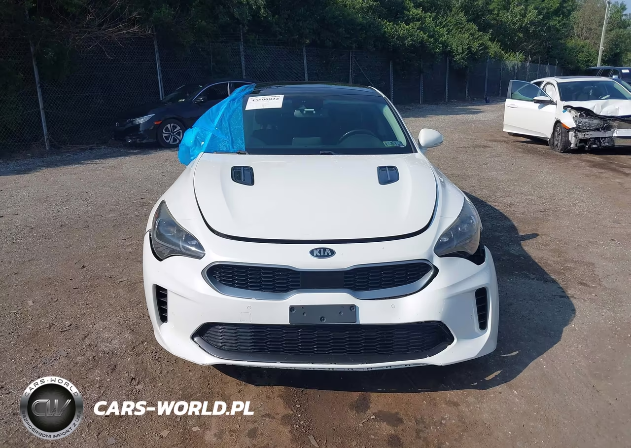 2018 Kia Stinger Premium VIN:KNAE25LA3J6027478 - 12