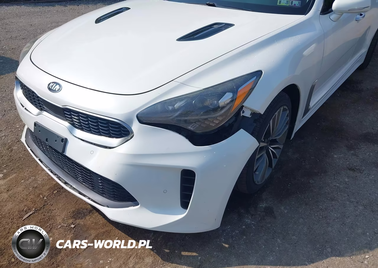 2018 Kia Stinger Premium VIN:KNAE25LA3J6027478 - 6