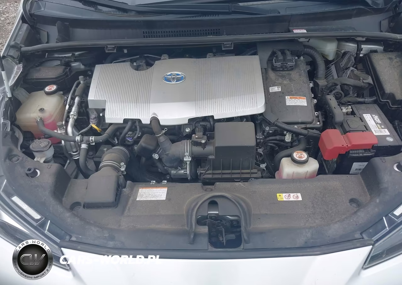 2019 Toyota Prius Xle VIN:JTDKARFU6K3081558 - 10