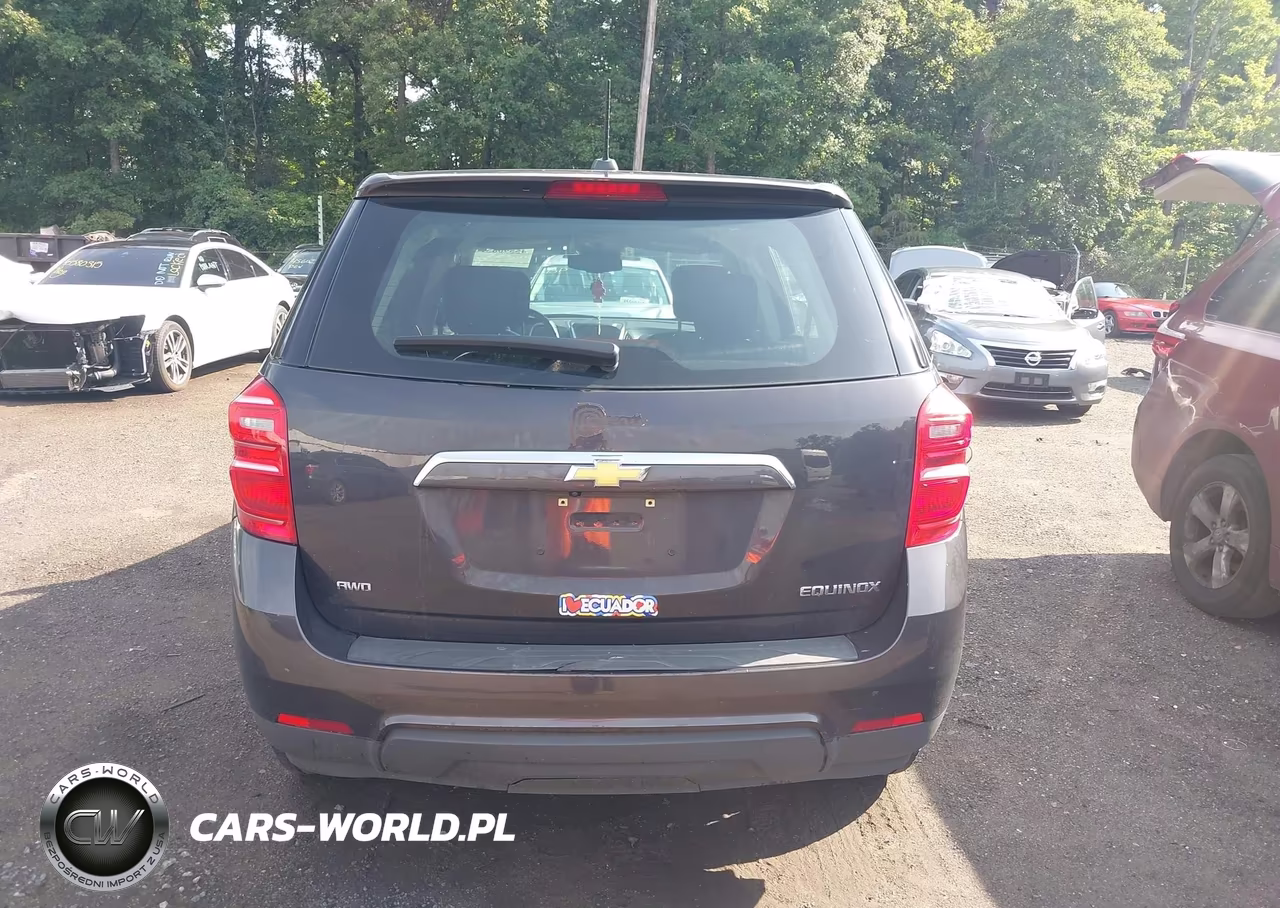2016 Chevrolet Equinox Ls VIN:2GNFLEEK0G6336684 - 16