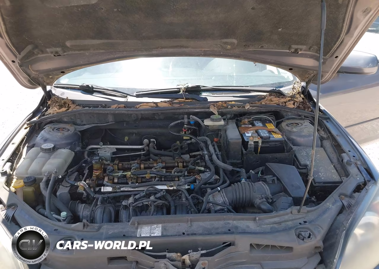 2009 Mazda Mazda3 S Grand Touring VIN:JM1BK344791195832 - 10