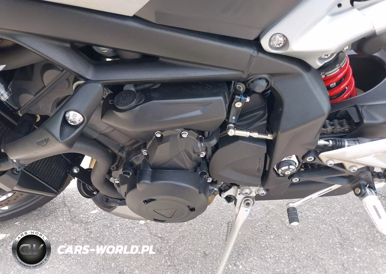 2024 Triumph Motorcycle Street Triple 765 R VIN:SMTA604SXRTBK0712 - 9