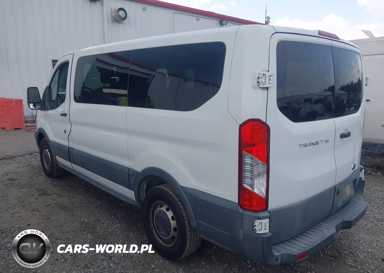 2016 Ford Transit-150 Xl VIN:1FMZK1ZM9GKB46369 - 3