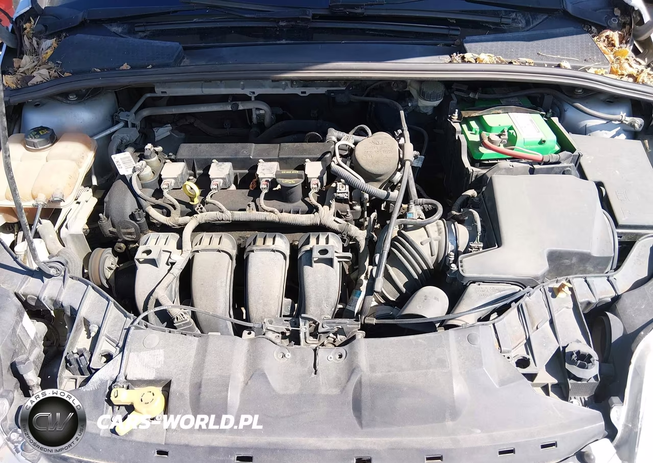 2014 Ford Focus Se VIN:1FADP3K21EL157660 - 10