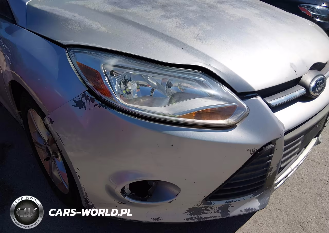 2014 Ford Focus Se VIN:1FADP3K21EL157660 - 12