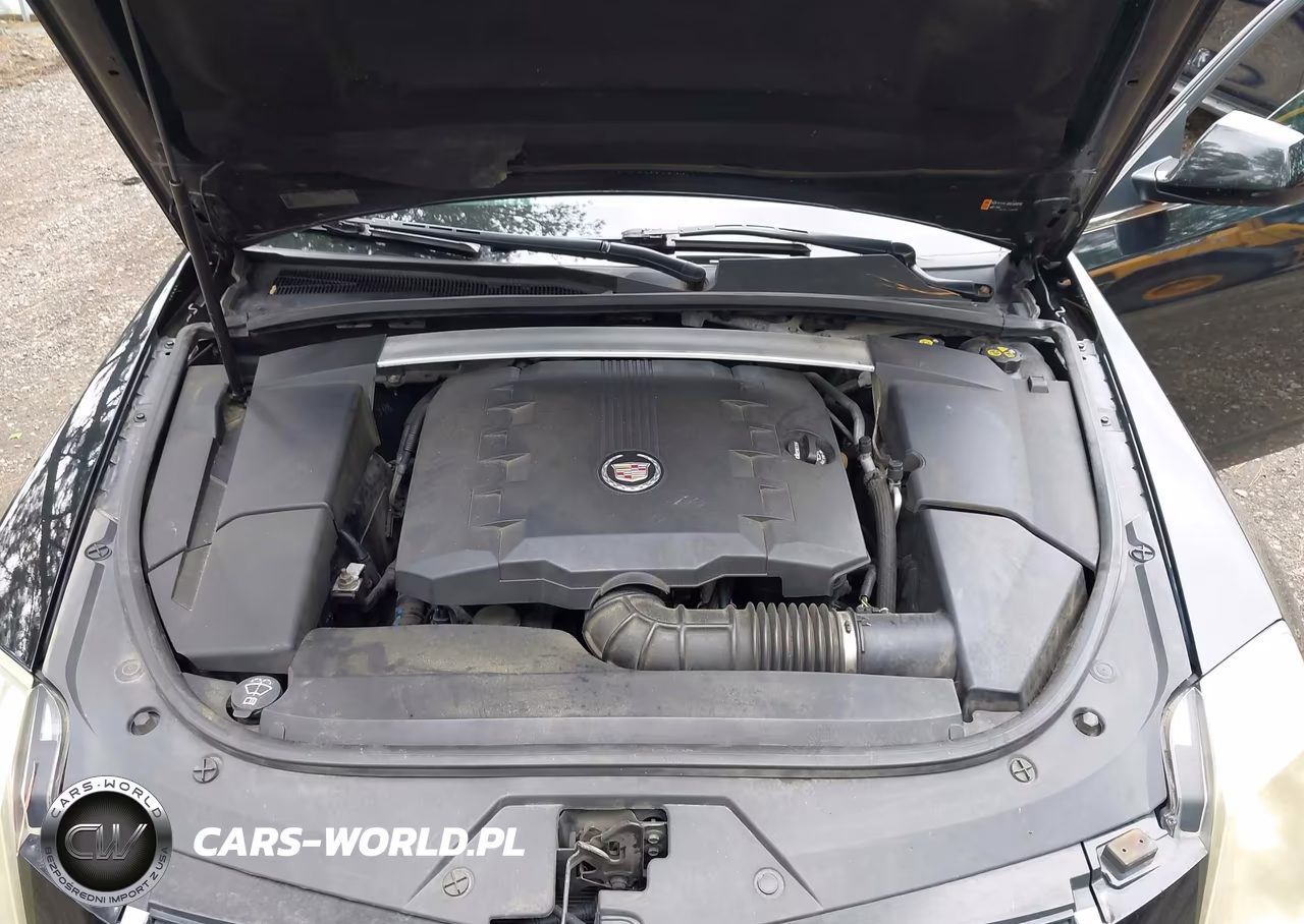 2013 Cadillac Cts Luxury VIN:1G6DE5E54D0107131 - 10