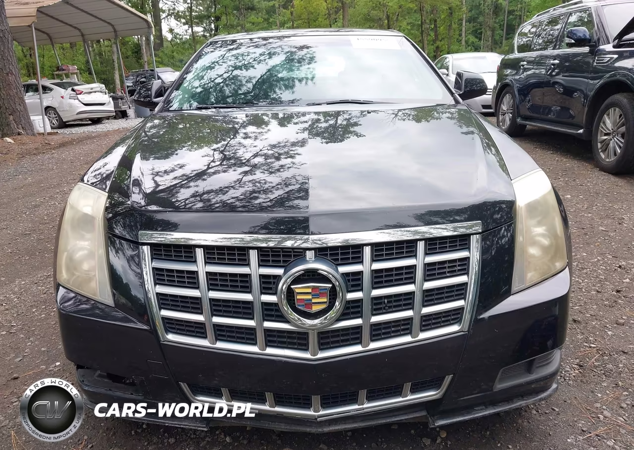2013 Cadillac Cts Luxury VIN:1G6DE5E54D0107131 - 13