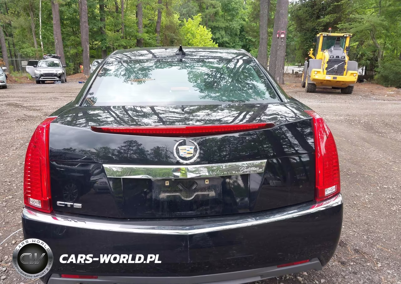 2013 Cadillac Cts Luxury VIN:1G6DE5E54D0107131 - 17