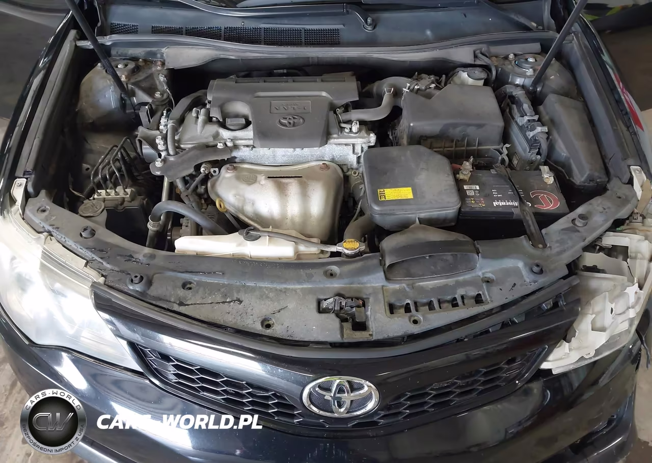 2014 Toyota Camry Se VIN:4T1BF1FK7EU332678 - 10