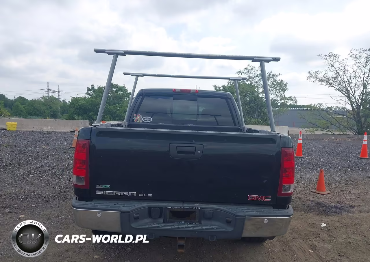 2010 GMC Sierra 1500 Sle VIN:3GTRKVE32AG227219 - 16