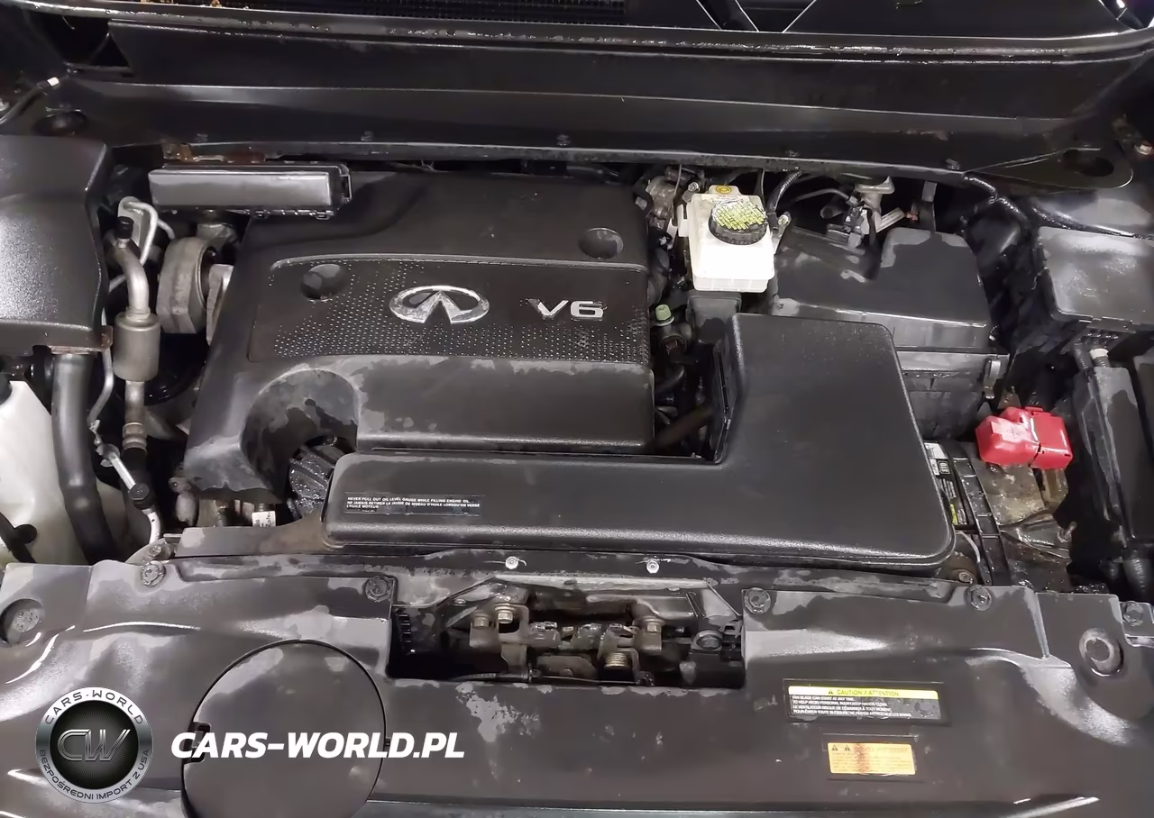 2016 Infiniti Qx60 VIN:5N1AL0MM6GC521544 - 10
