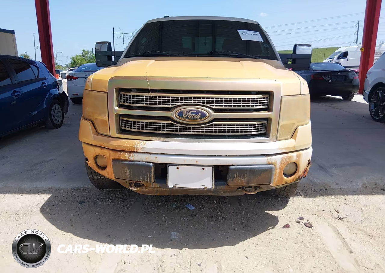 2010 Ford F-150 Fx4-Harley-Davidson-King Ranch-Lariat-Platinum-Xl-Xlt VIN:1FTFW1EV3AFB42991 - 12