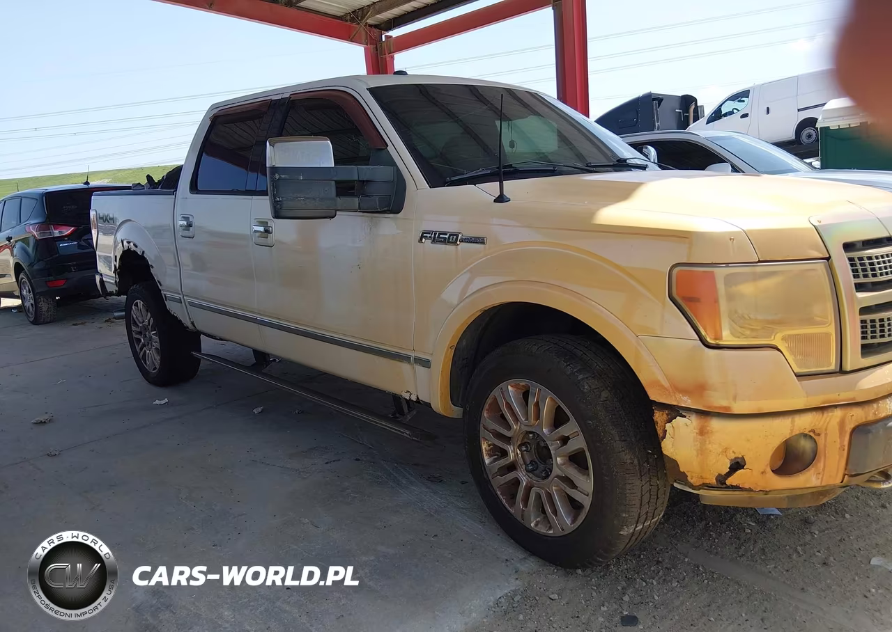 2010 Ford F-150 Fx4-Harley-Davidson-King Ranch-Lariat-Platinum-Xl-Xlt VIN:1FTFW1EV3AFB42991 - 13