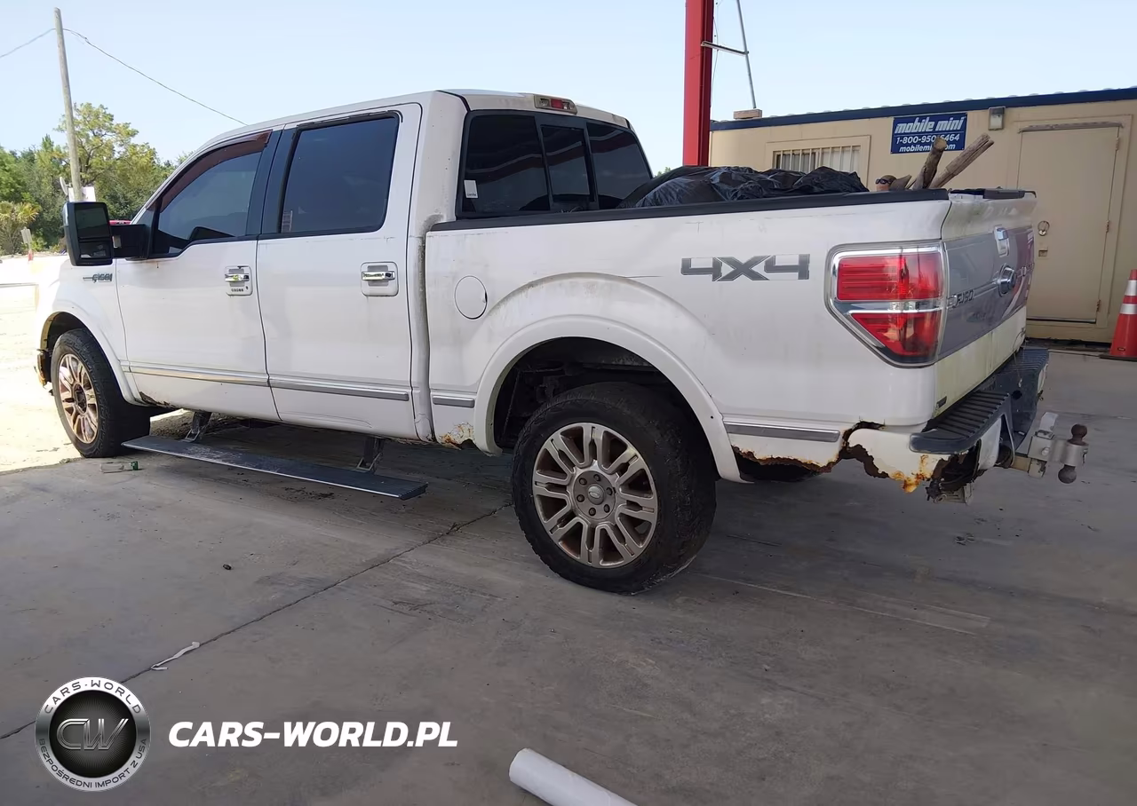 2010 Ford F-150 Fx4-Harley-Davidson-King Ranch-Lariat-Platinum-Xl-Xlt VIN:1FTFW1EV3AFB42991 - 14